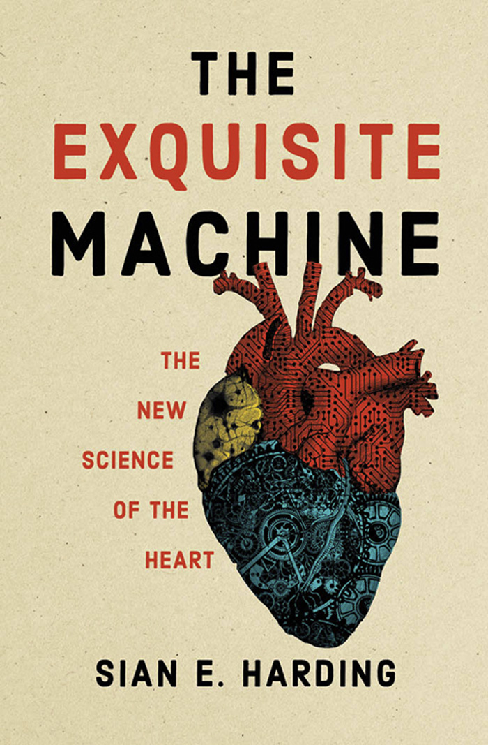 The Exquisite Machine The Exquisite Machine The New Science of the Heart Sian - photo 1