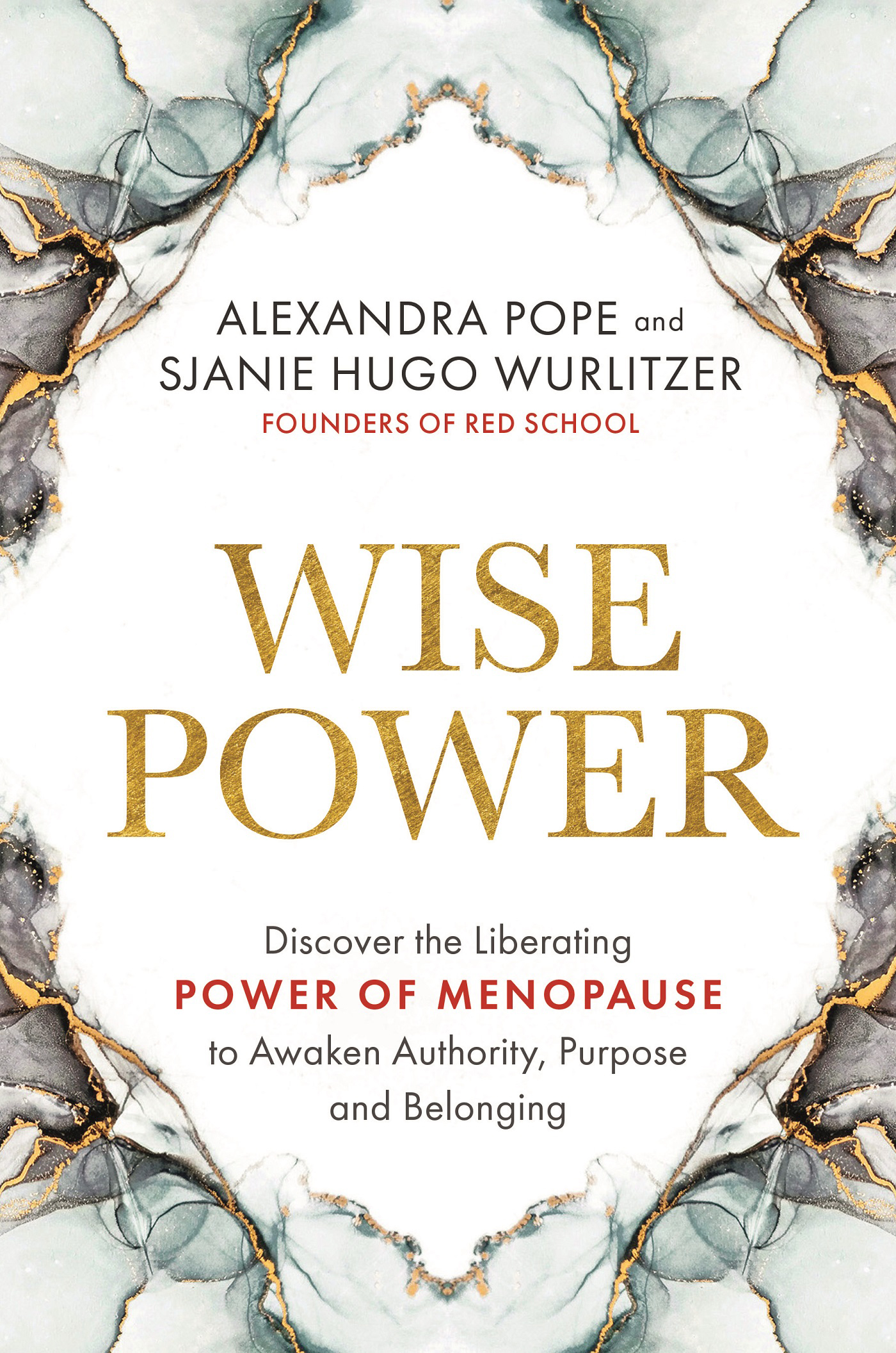 PRAISE FOR WISE POWER Wise Power is a radical revisioning of menopause as an - photo 1