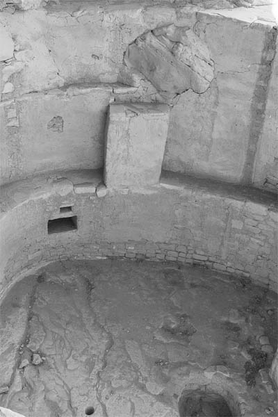 Spruce Tree House Mesa Verde 2008 Photograph by Lisa S Pacheco THE - photo 1