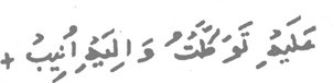 In Him I have put my trust and to Him I turn penitently Sura Hud Verse 88 - photo 7