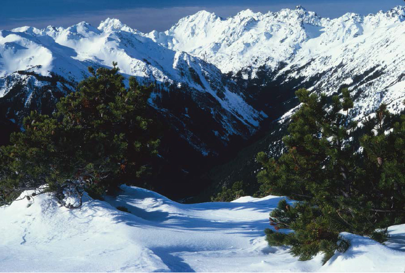 Winter on Gray Wolf Ridge In the heart of the northeast rainshadow stunted - photo 10