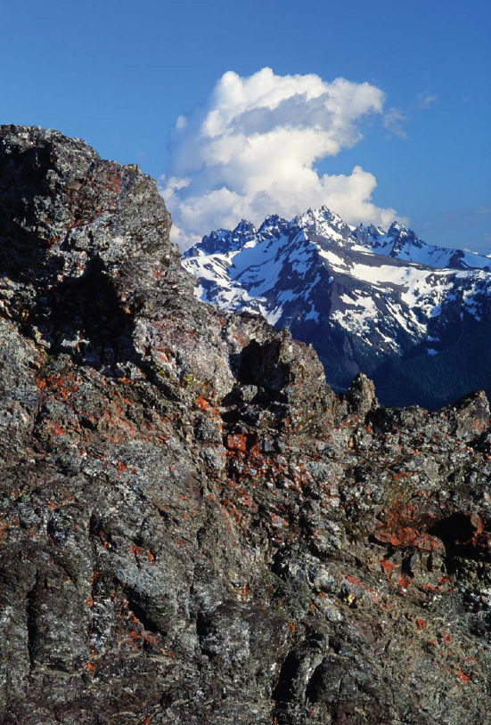 Lichens color a basalt outcrop on Blue Mountain The jagged spires of the - photo 14