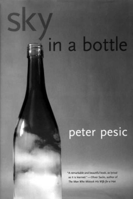 Peter Pesic - Sky in a Bottle