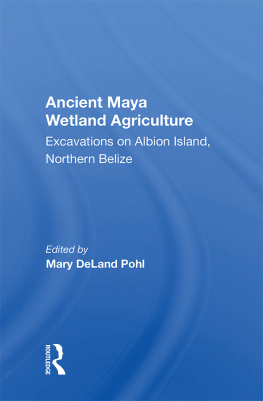 Mary Deland Pohl Ancient Maya Wetland Agriculture: Excavations on Albion Island, Northern Belize