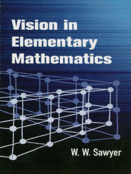 Sawyer Vision in Elementary Mathematics