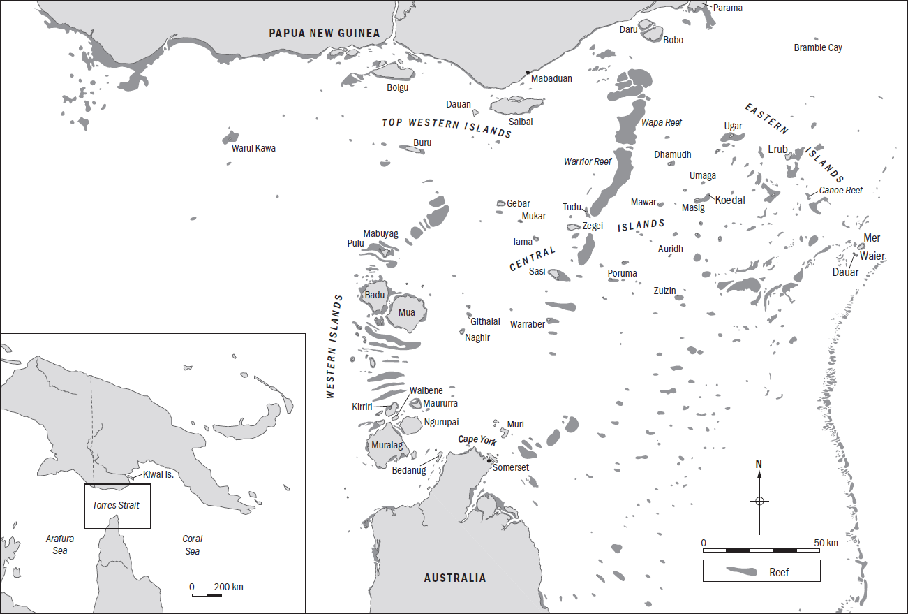 Glossary Islanders Turtle Taxonomy akoor entrails ath - photo 4