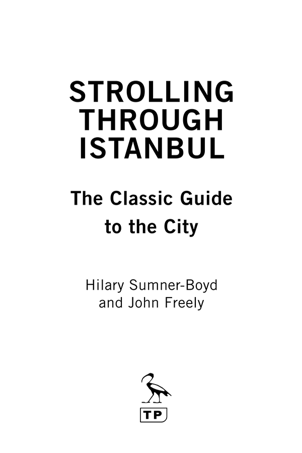 Strolling Through Istanbul - image 1