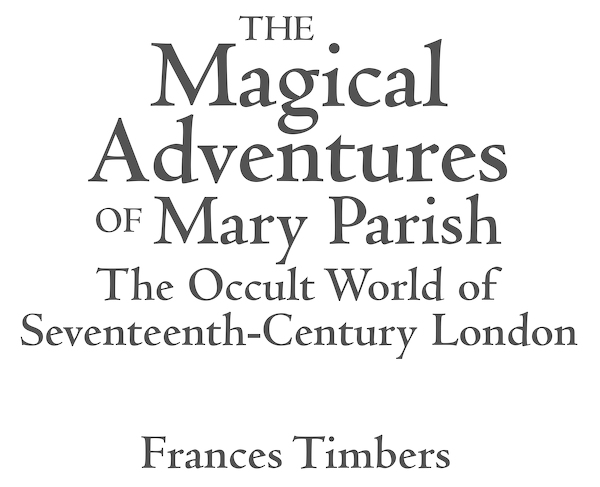 The Magical Adventures of Mary Parish - image 2