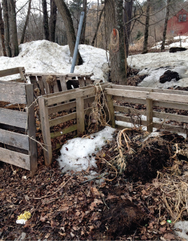 The authors neighbor down the road in Vermont has a perfectly good compost - photo 6