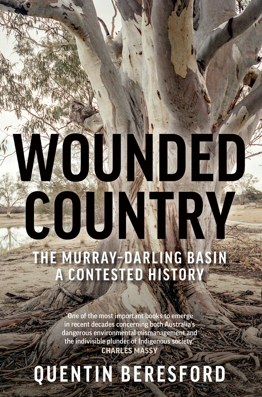 WOUNDED COUNTRY Q UENTIN B ERESFORD has had a diverse career in academia the - photo 1