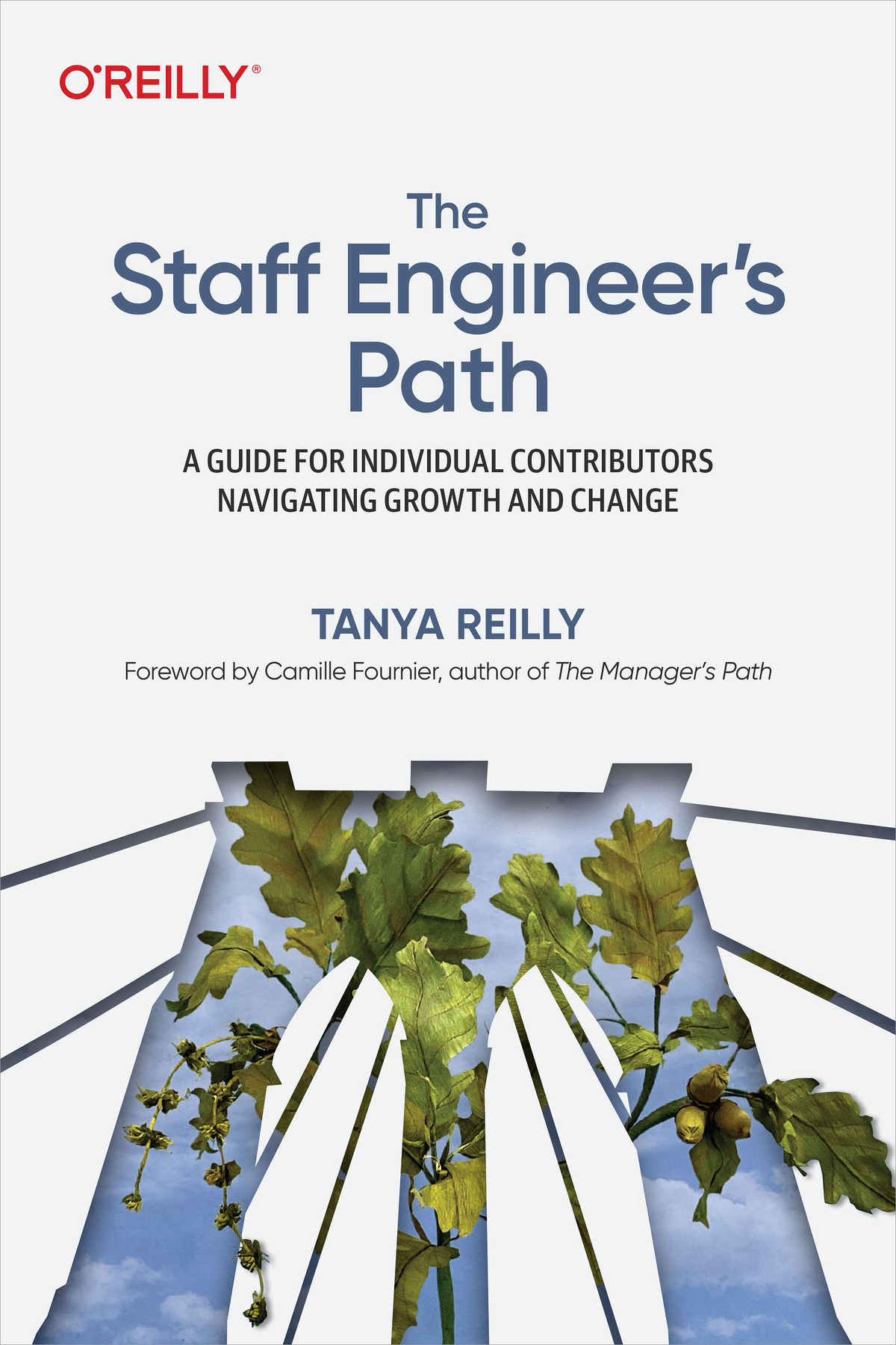 Praise for The Staff Engineers Path The book I wish Id had when I stepped up - photo 1