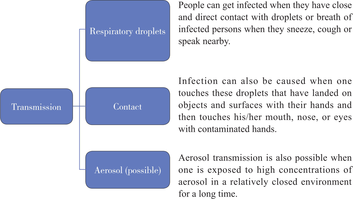 What are the symptoms of COVID-19 According to the latest epidemiological - photo 8