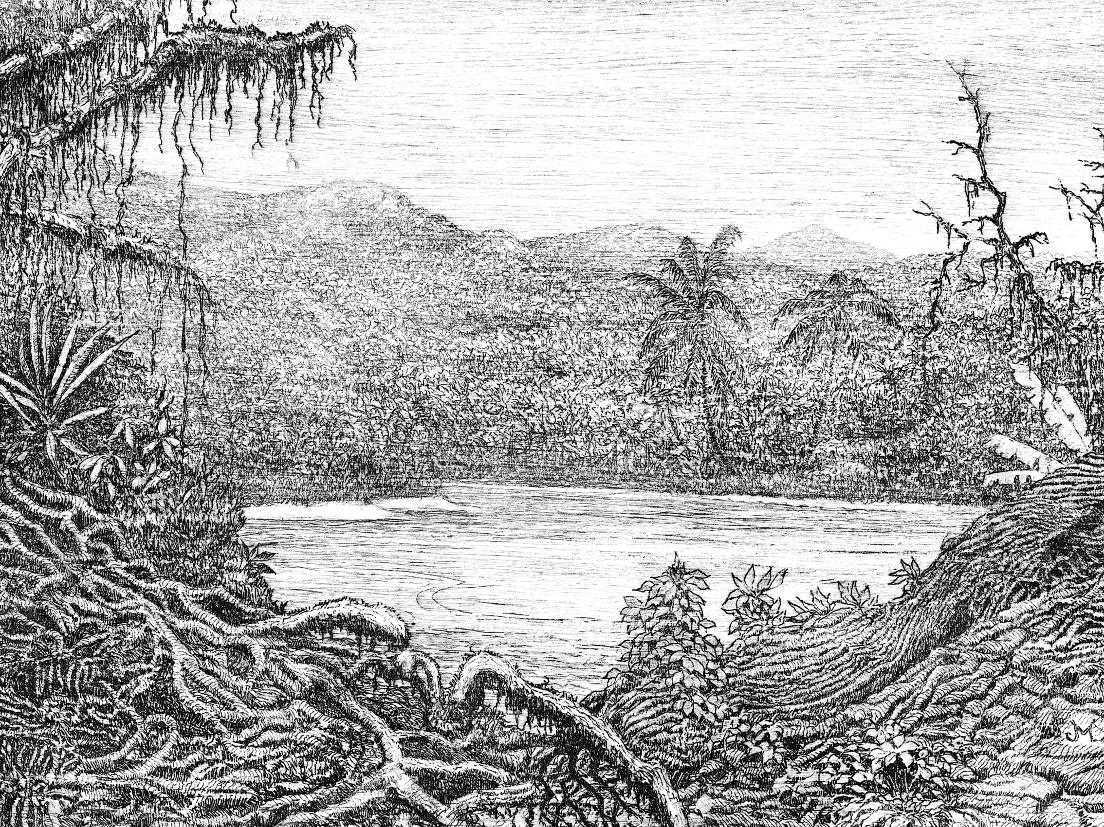 Drawing by John McLaughry of jungle at Bougainville 1944 Courtesy of the - photo 2