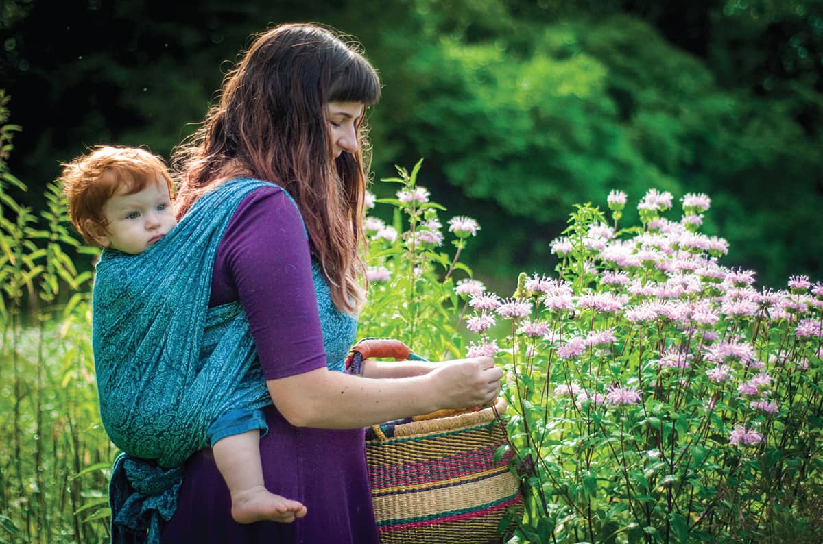 Foraging bee balm One child and one adult at a time were picking up what was - photo 11