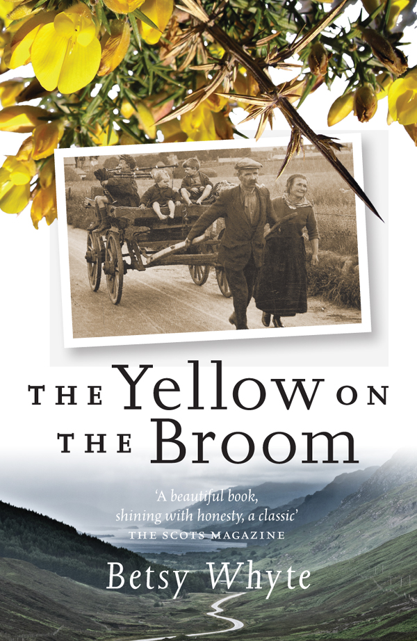 The Yellow on the Broom The Early Days of a Traveller Woman - image 1