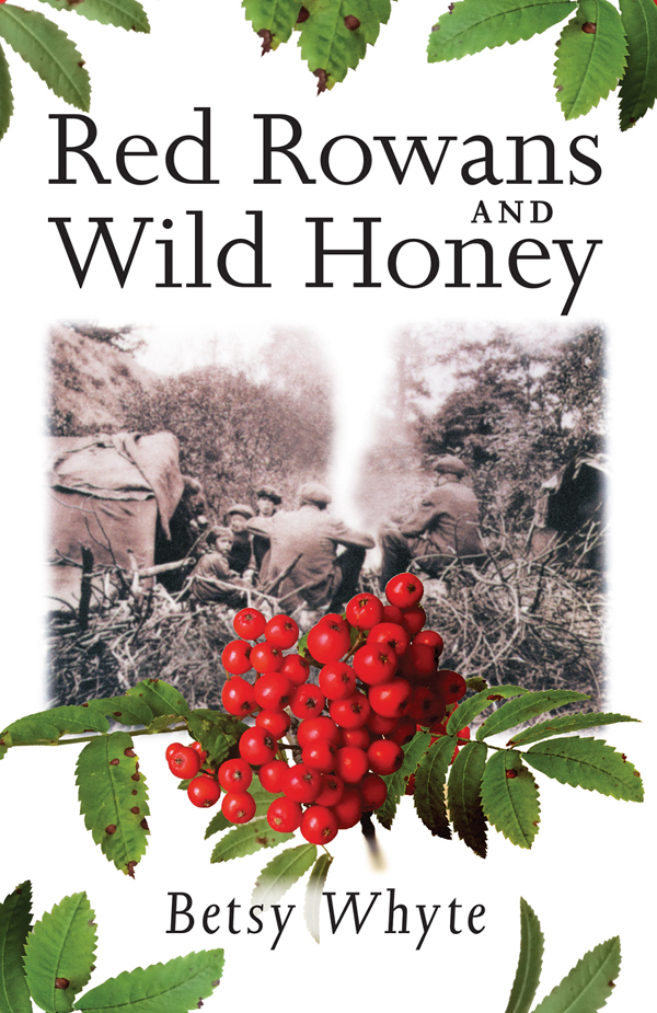 Red Rowans and Wild Honey - image 1