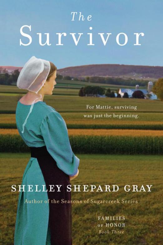 The Survivor Families of Honor Book Three Shelley Shepard Gray If - photo 1