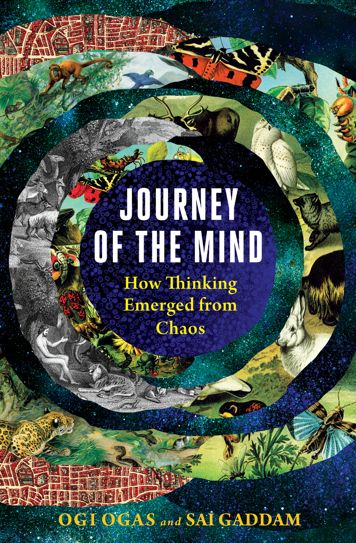 JOURNEY OF THE MIND HOW THINKING EMERGED FROM CHAOS Ogi Ogas and Sai Gaddam - photo 1