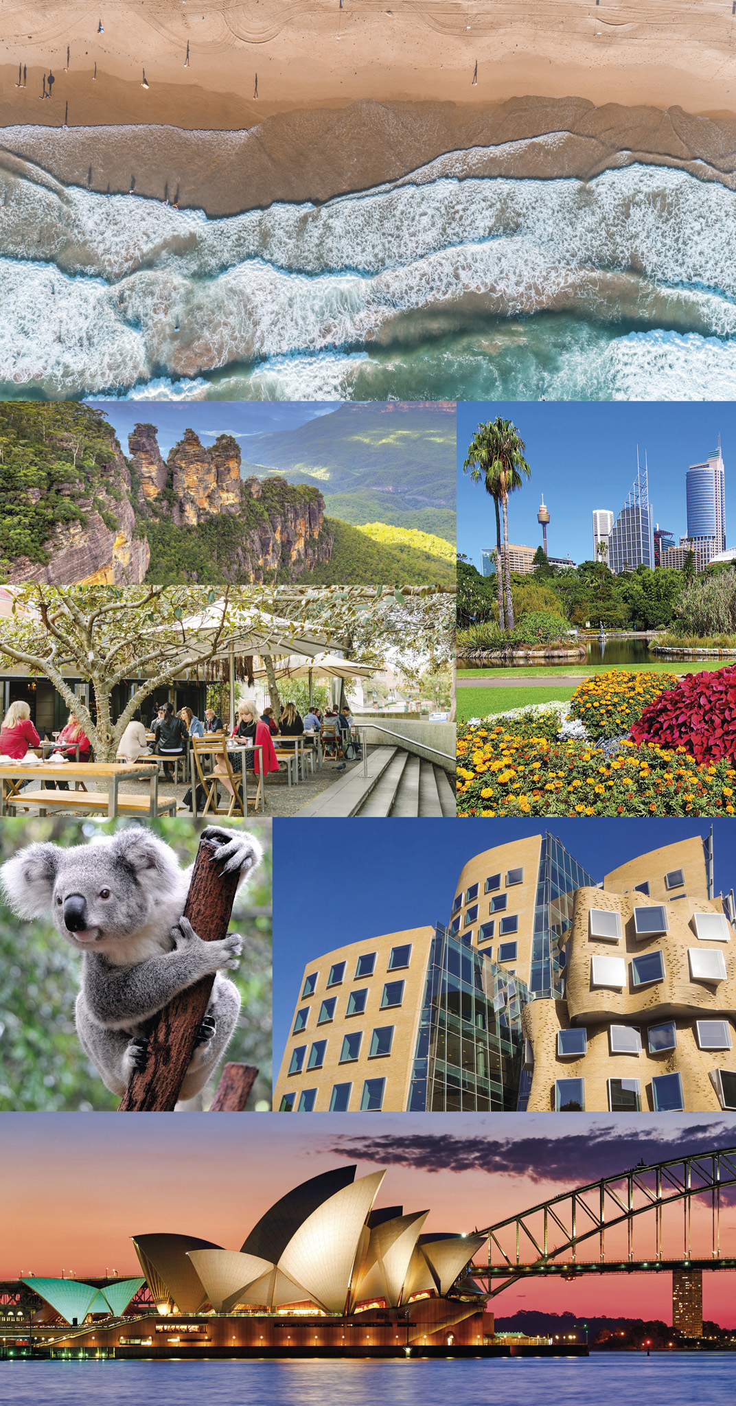 Clockwise from top Bondi Beach Royal Botanic Garden and city skyline Dr Chau - photo 2