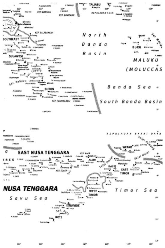 THE ECOLOGY OF NUSA TENGGARA AND MALUKU THE ECOLOGY OF INDONESIA SERIES - photo 3