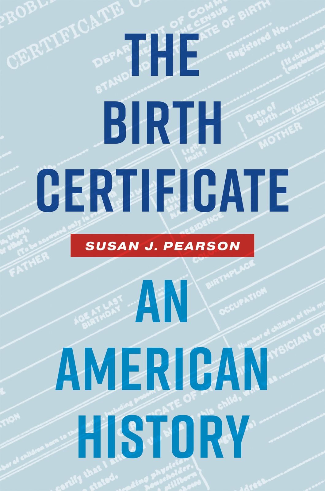 THE BIRTH CERTIFICATE THE BIRTH CERTIFICATE AN AMERICAN HISTORY SUSAN J - photo 1