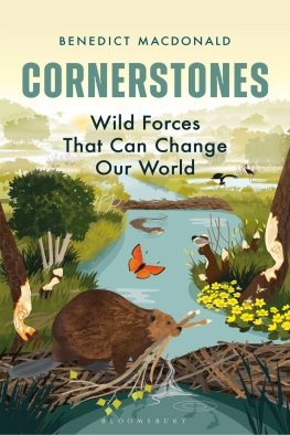Benedict Macdonald Cornerstones: Wild forces that can change our world
