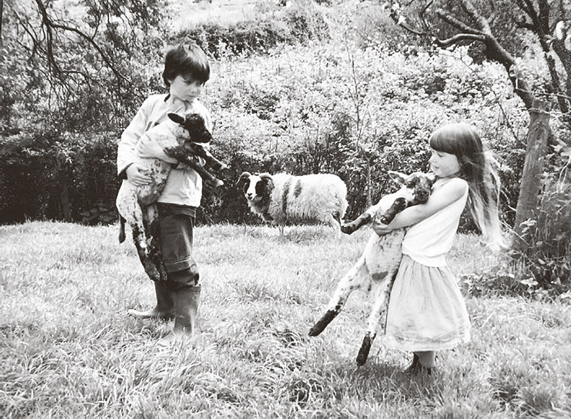 Tris and Freda with Action Lamb and May Introduction The sheep have been here - photo 5