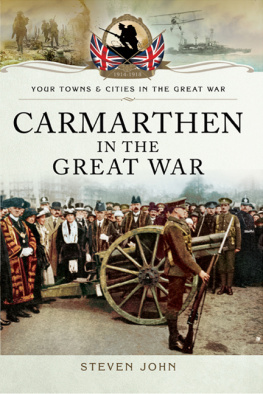 Steven John - Carmarthen in the Great War