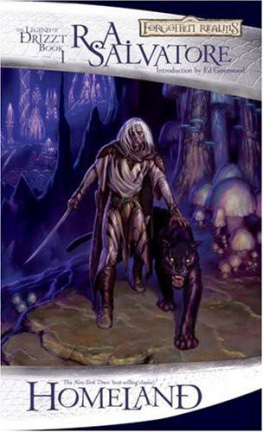 R. A. Salvatore - The Dark Elf Trilogy 1 Homeland (Dragonlance)