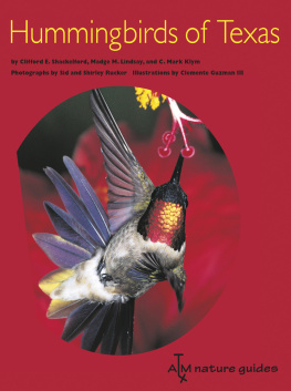 Clifford E. Shackelford Hummingbirds of Texas: with Their New Mexico and Arizona Ranges