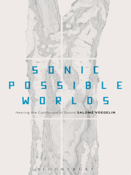 Salom Voegelin - Sonic Possible Worlds