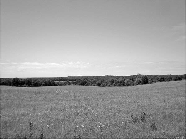 Happy Valley where it all began Photo by Wyatt Jones Among the early - photo 3