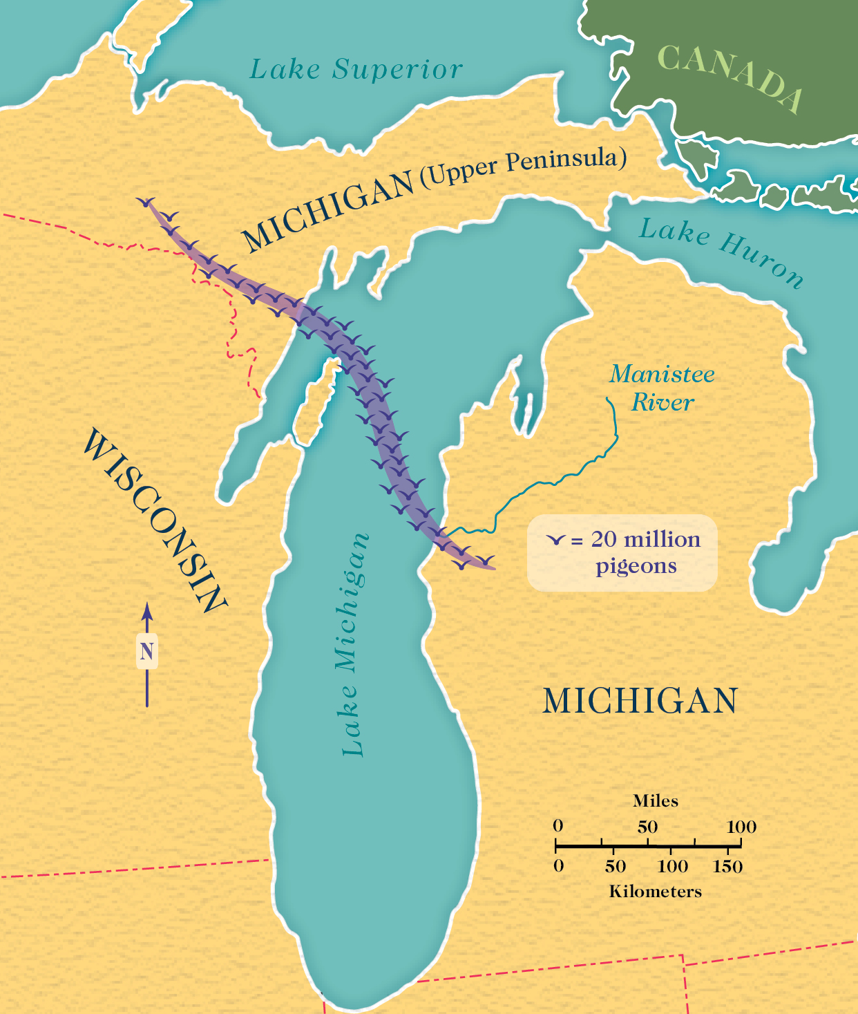 The flock of passenger pigeons witnessed in 1850 if viewed from above would - photo 4