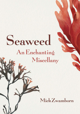 Miek Zwamborn Seaweed, an Enchanting Miscellany