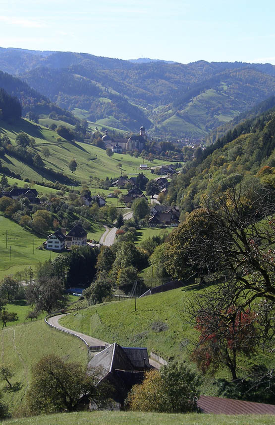 A long view of Mnstertal Walk 3 INTRODUCTION A flower-strewn Black Forest - photo 6