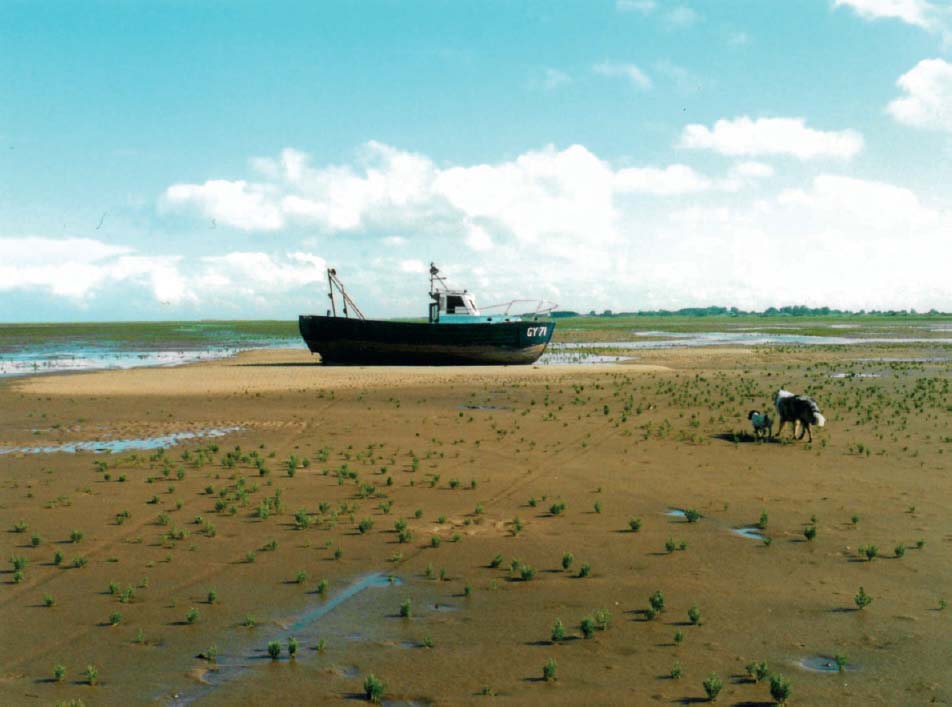 26 The MV Nimrod and old sea-dogs 27 Former trawler at Grimsby 28 - photo 28