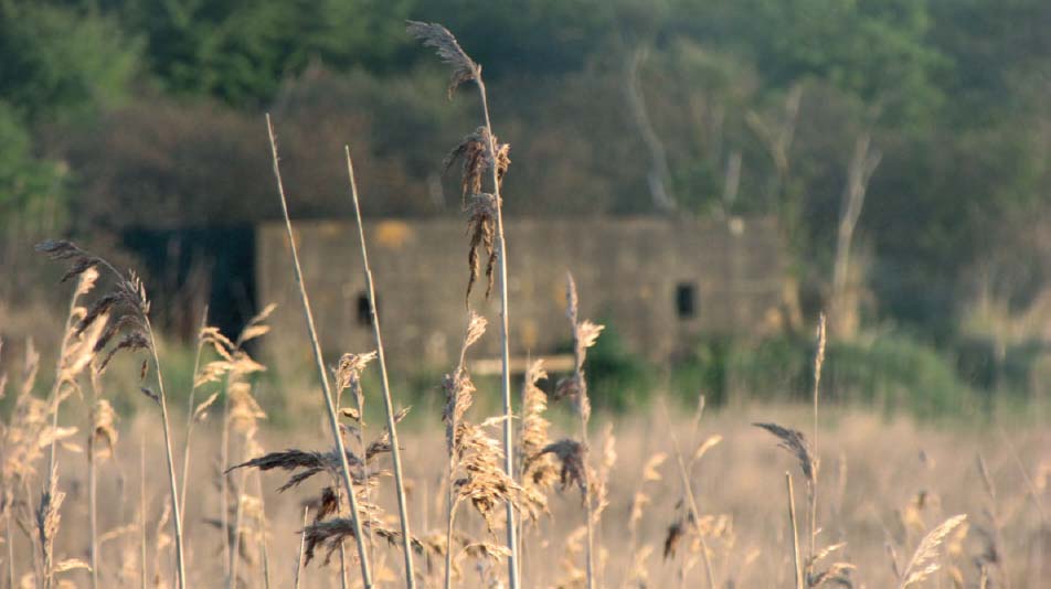 2 Pillbox from the saltmarsh 3 The Alkborough maze 4 The Fens from the - photo 4