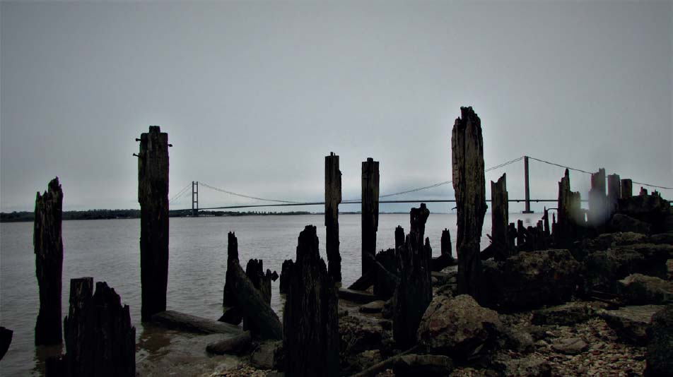 9 The Humber Bridge 10 Inner Marsh near Manby 11 Cows in the Marsh - photo 11