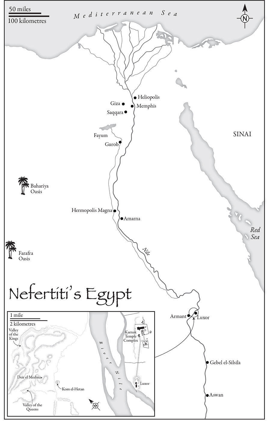 INTRODUCTION SEEKING NEFERTITI One of the most inter - photo 6