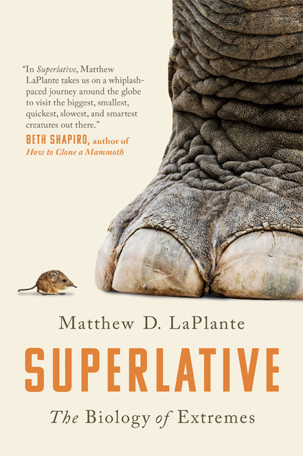 Praise for Superlative In Superlative Matthew LaPlante takes us on a - photo 1