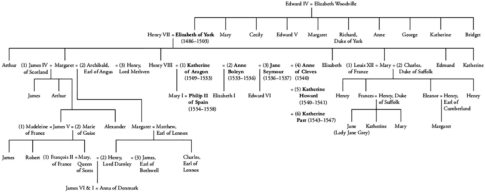 Praise for Tudor and Stuart Consorts These readable and incisive essays bring - photo 3