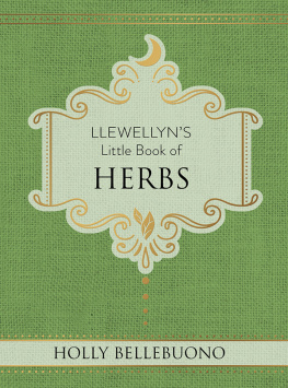 Holly Bellebuono Llewellyns Little Book of Herbs