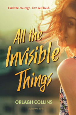 Orlagh Collins All the Invisible Things