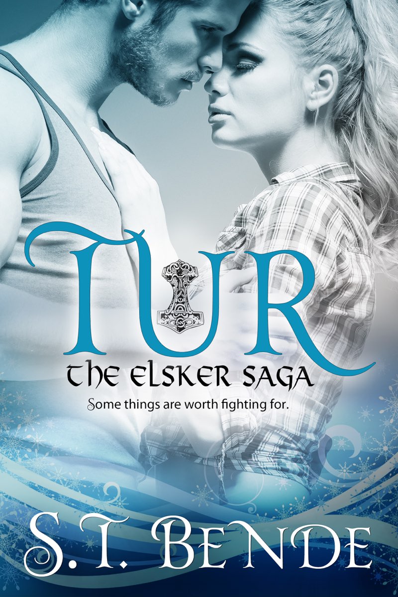 Tur An Elsker Saga Novella Copyright 2013 ST Bende Edited by Eden Plantz - photo 4