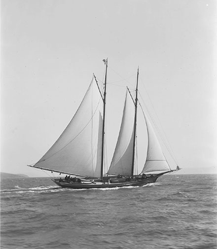Schooner Halcyon on San Francisco Bay August 15 1886 William Letts Oliver - photo 5