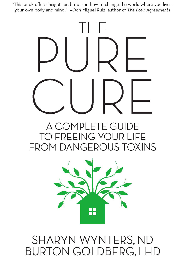 Praise for The Pure Cure The Pure Cure is an insightful and powerful tool for - photo 1