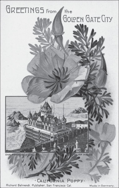 Vintage postcard of Cliff House and California poppies circa 1900 Glenn D - photo 5