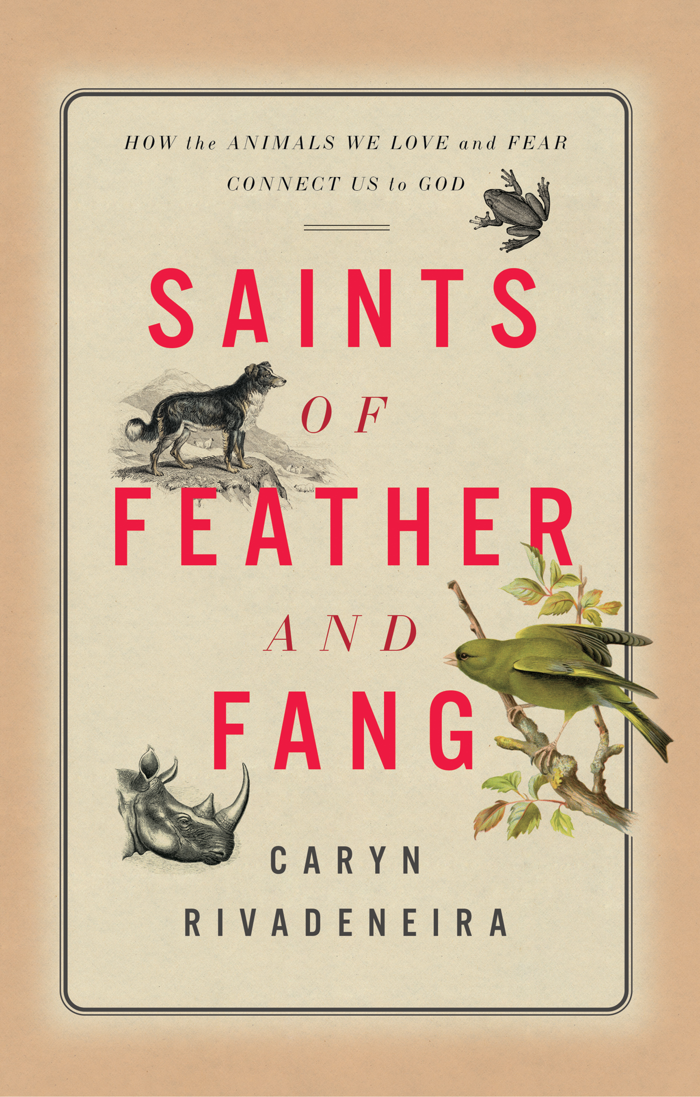 Praise for Saints of Feather and Fang How the Animals We Love and Fear Connect - photo 1