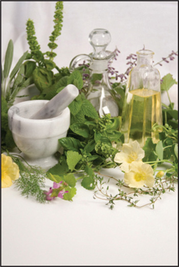 Ancient History Many trace the history of aromatherapy back to ancient - photo 10