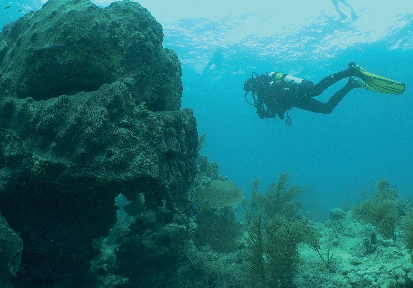 Linda diving at Looe KeyDocumentary Crew filming Chris Harvey Clark in his Lab - photo 19